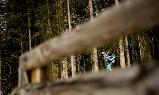 Биатлон. Чемпионат мира. Мужчины. Индивидуальная гонка