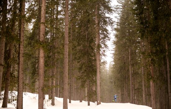 Биатлон. Чемпионат мира. Мужчины. Индивидуальная гонка