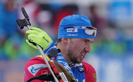 Биатлон. Чемпионат мира. Мужчины. Индивидуальная гонка