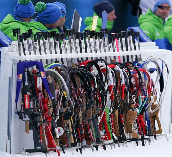 Биатлон. Чемпионат мира. Мужчины. Индивидуальная гонка