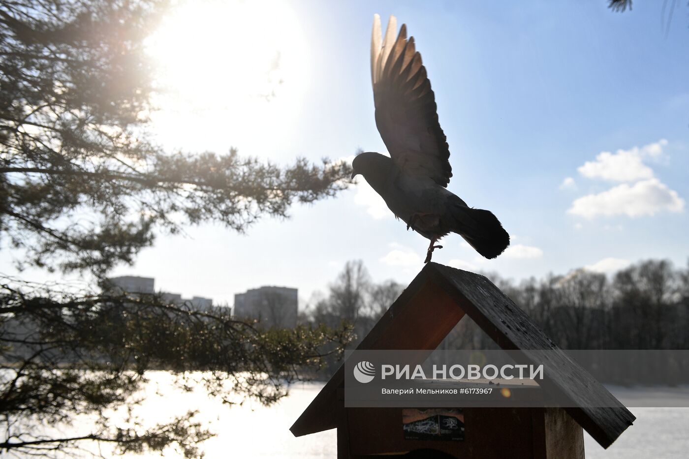 Теплая погода в Москве