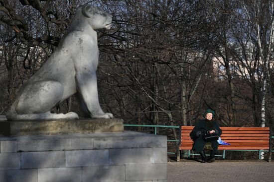 Теплая погода в Москве