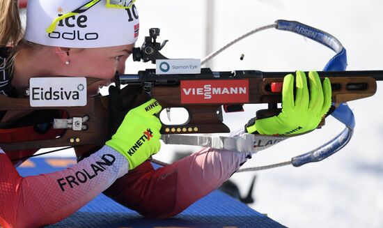 Биатлон. Чемпионат мира. Женщины. Эстафета