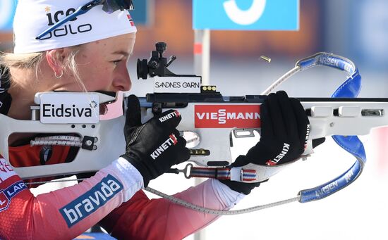 Биатлон. Чемпионат мира. Женщины. Эстафета