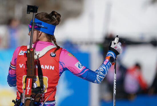 Биатлон. Чемпионат мира. Женщины. Эстафета