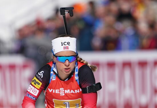 Биатлон. Чемпионат мира. Женщины. Эстафета