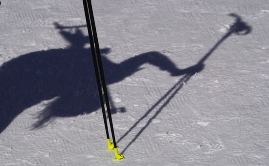 Биатлон. Чемпионат мира. Женщины. Эстафета