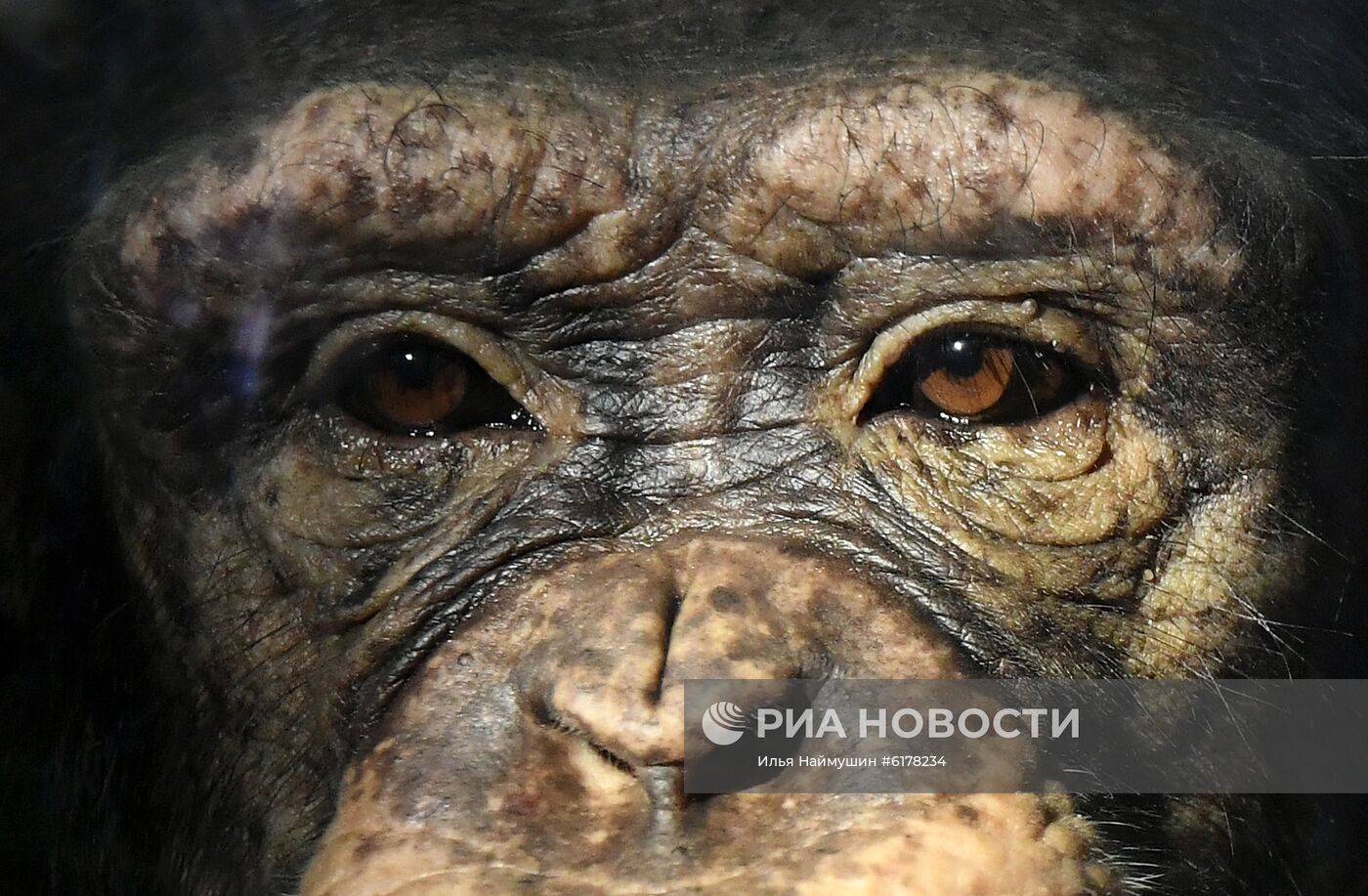 Парк флоры и фауны "Роев ручей" в Красноярске 