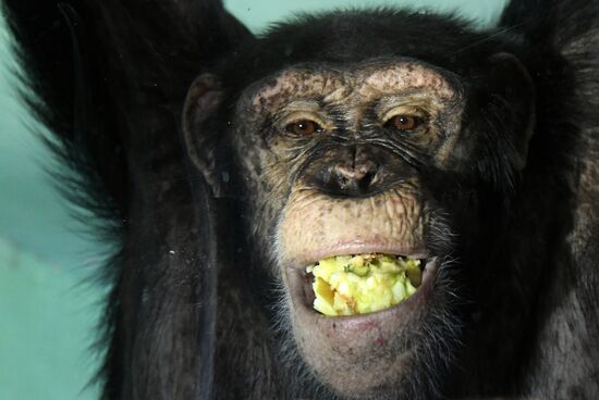 Парк флоры и фауны "Роев ручей" в Красноярске 