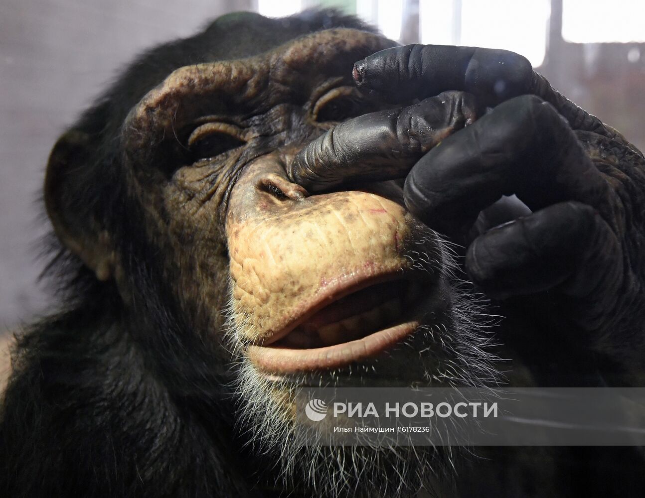 Парк флоры и фауны "Роев ручей" в Красноярске