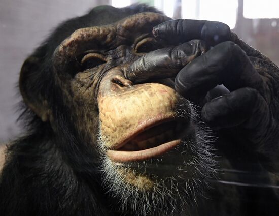 Парк флоры и фауны "Роев ручей" в Красноярске 