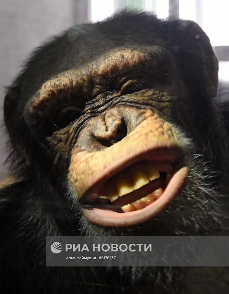 Парк флоры и фауны "Роев ручей" в Красноярске 