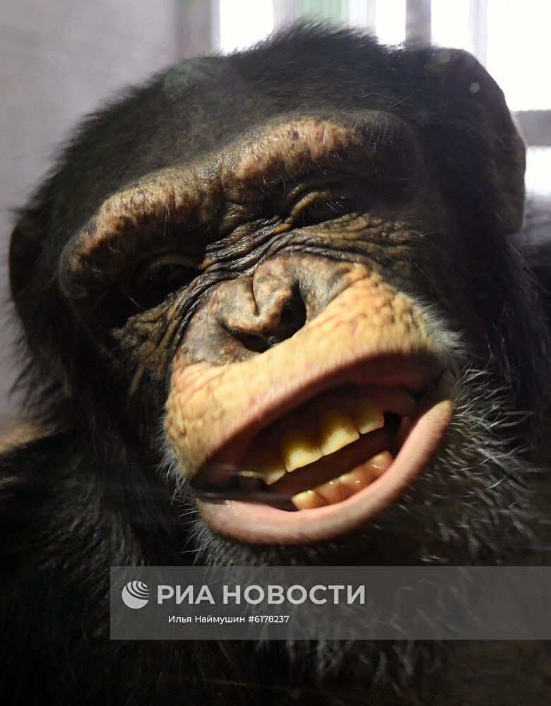 Парк флоры и фауны "Роев ручей" в Красноярске