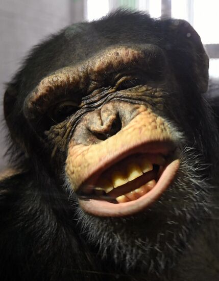 Парк флоры и фауны "Роев ручей" в Красноярске 