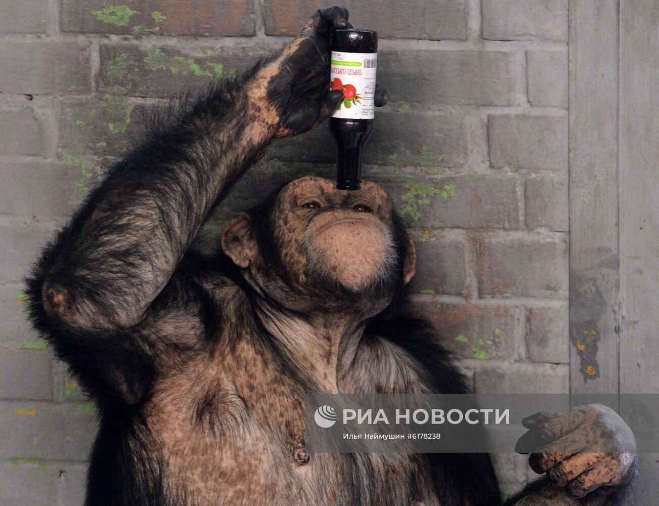 Парк флоры и фауны "Роев ручей" в Красноярске 