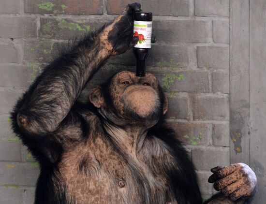 Парк флоры и фауны "Роев ручей" в Красноярске 