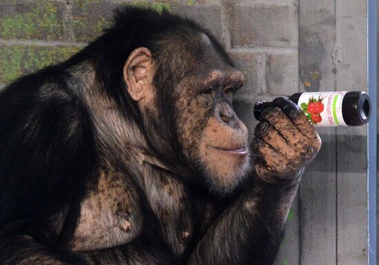 Парк флоры и фауны "Роев ручей" в Красноярске 