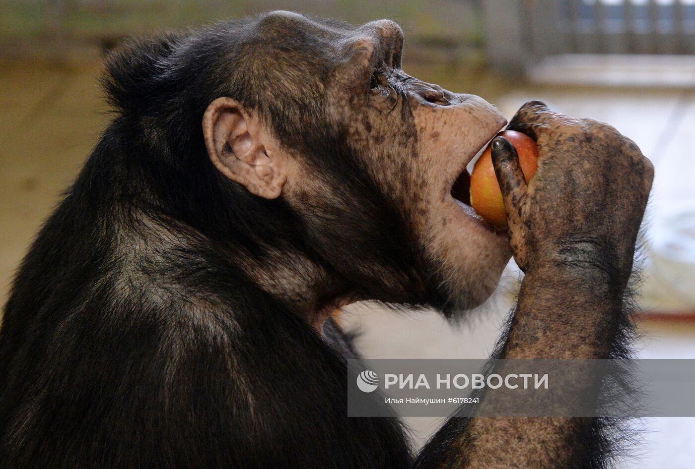 Парк флоры и фауны "Роев ручей" в Красноярске