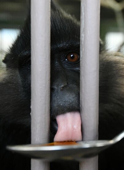 Парк флоры и фауны "Роев ручей" в Красноярске 