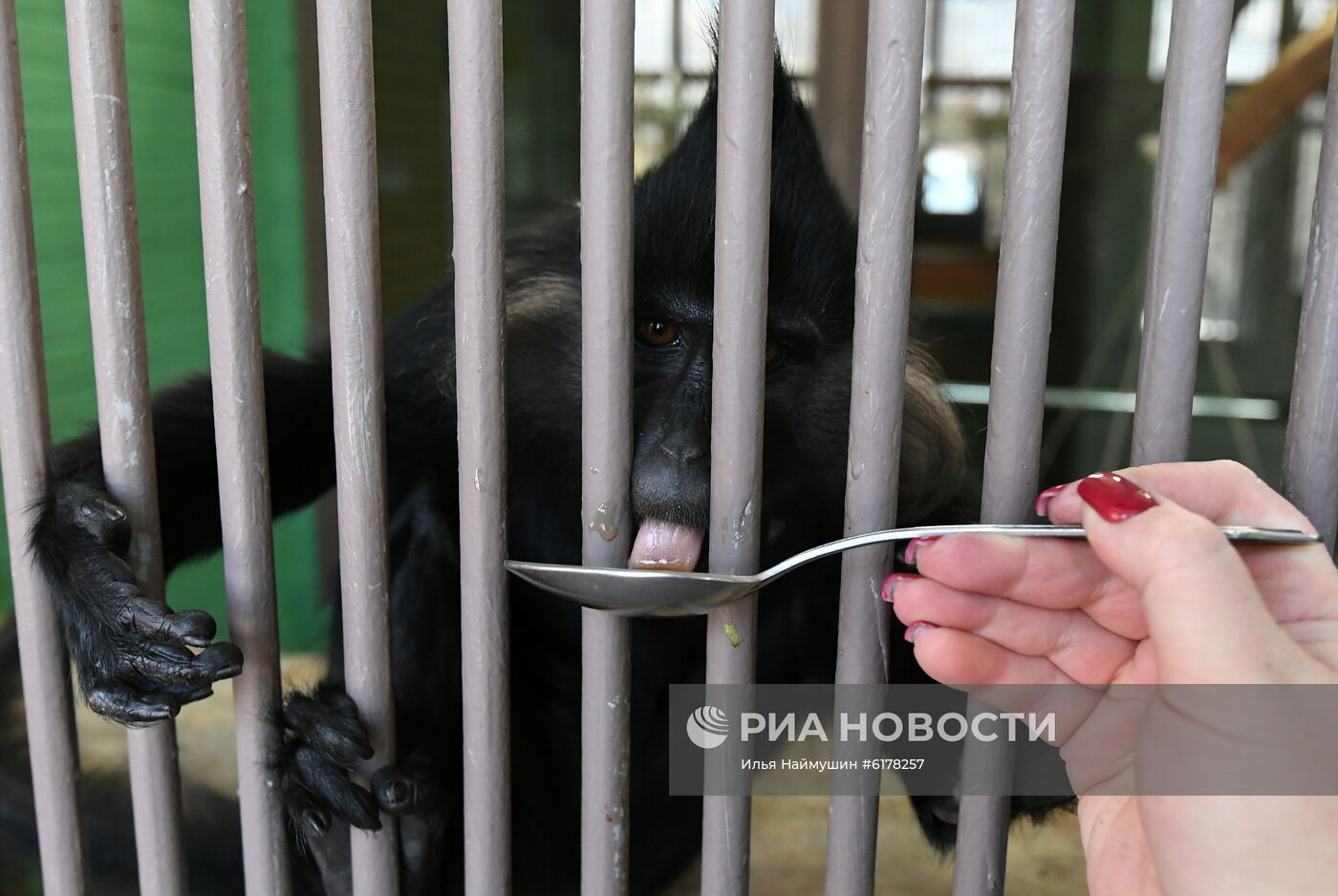 Парк флоры и фауны "Роев ручей" в Красноярске 