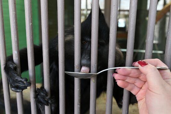 Парк флоры и фауны "Роев ручей" в Красноярске 