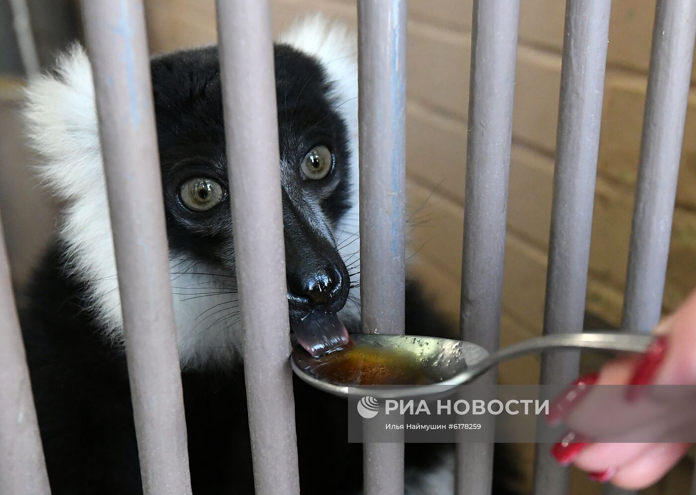 Парк флоры и фауны "Роев ручей" в Красноярске