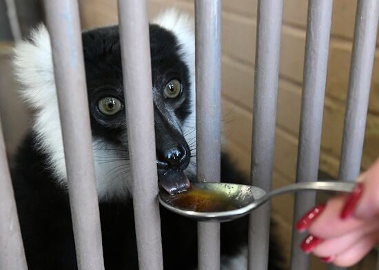 Парк флоры и фауны "Роев ручей" в Красноярске 