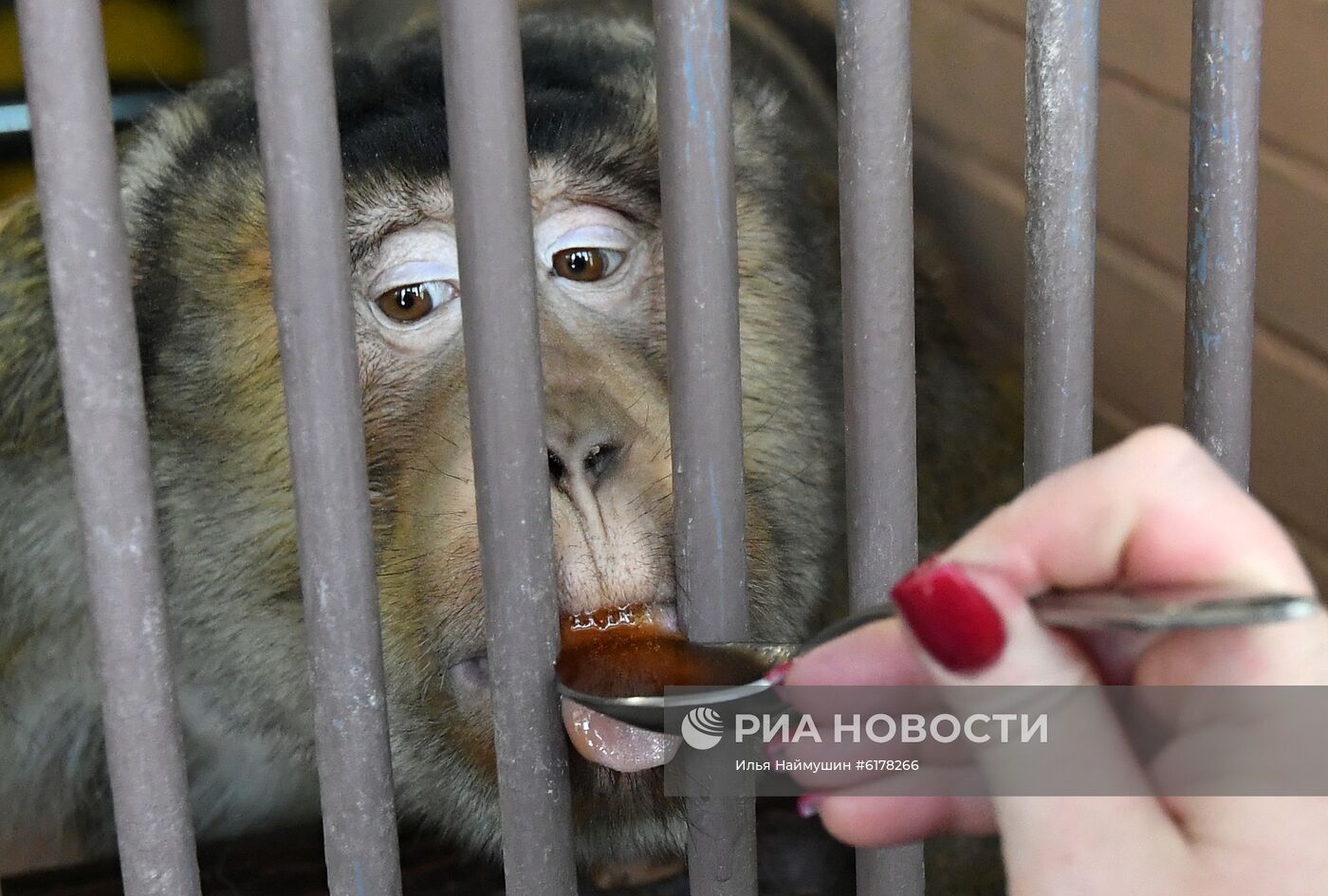 Парк флоры и фауны "Роев ручей" в Красноярске 