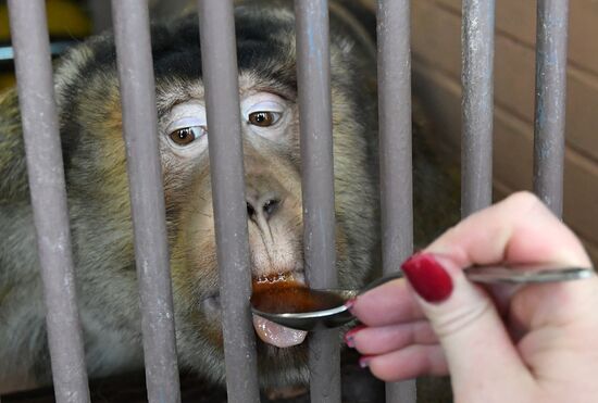 Парк флоры и фауны "Роев ручей" в Красноярске 