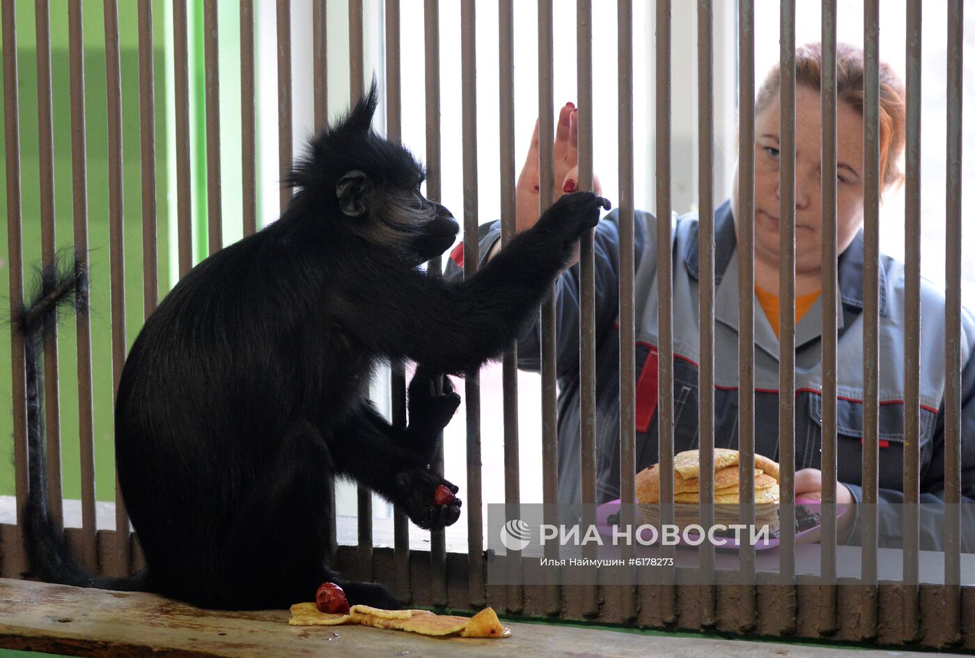 Парк флоры и фауны "Роев ручей" в Красноярске 