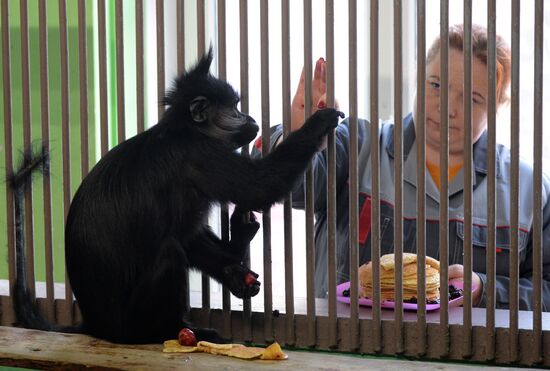 Парк флоры и фауны "Роев ручей" в Красноярске 