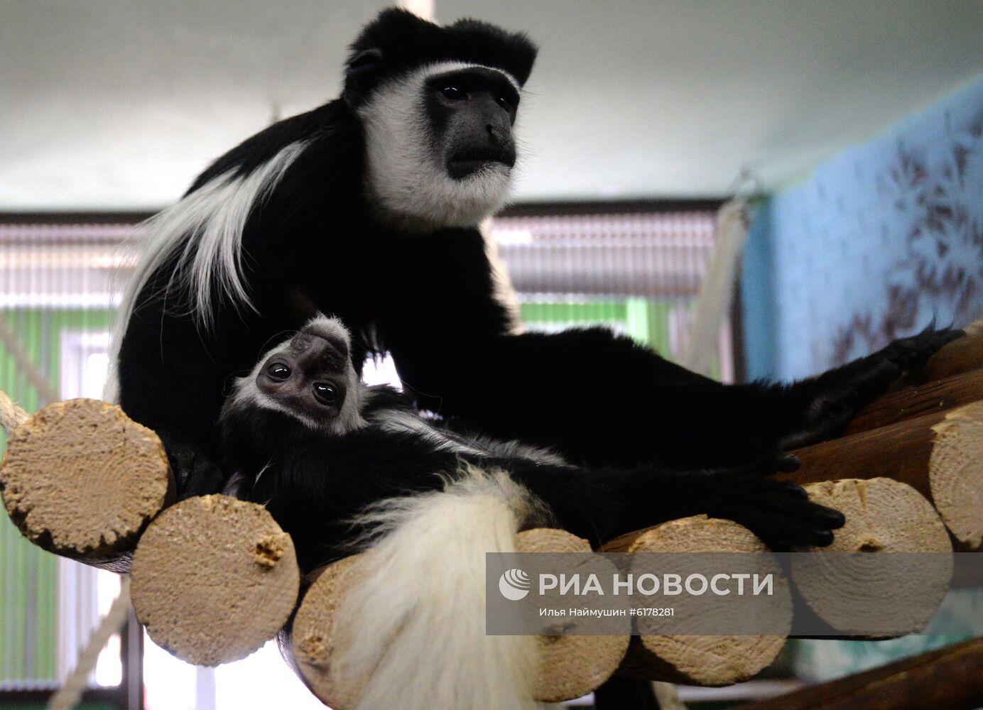 Парк флоры и фауны "Роев ручей" в Красноярске 