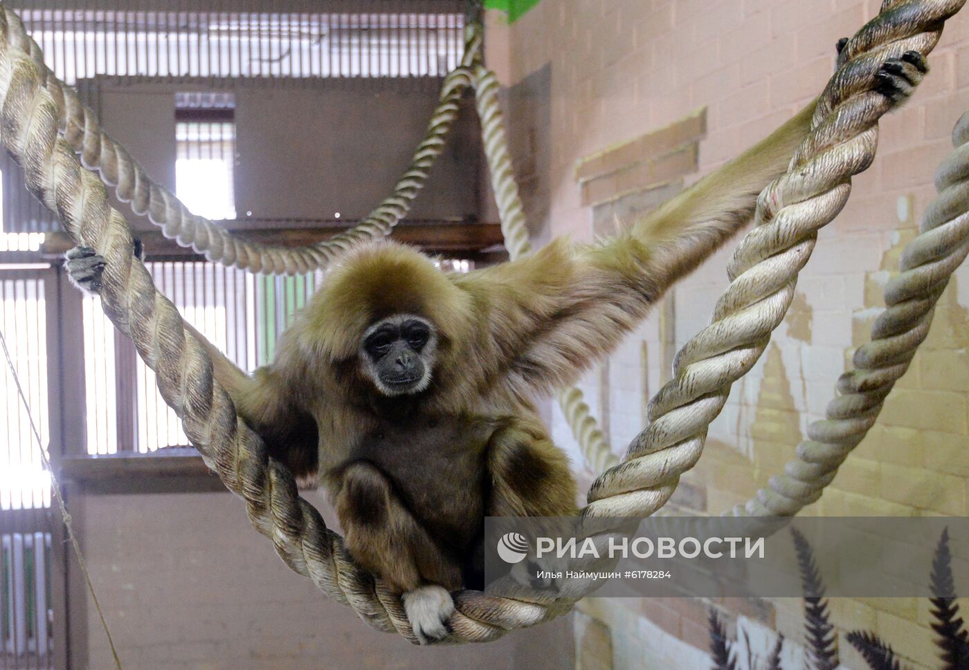 Парк флоры и фауны "Роев ручей" в Красноярске