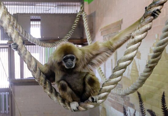 Парк флоры и фауны "Роев ручей" в Красноярске 