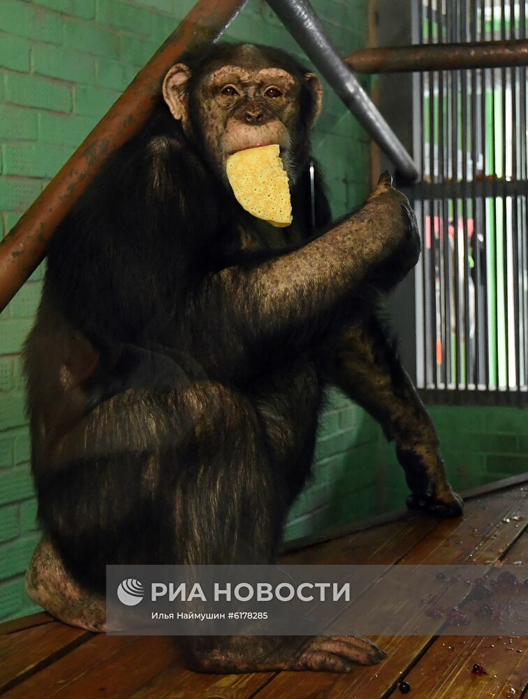 Парк флоры и фауны "Роев ручей" в Красноярске 