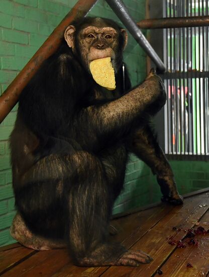 Парк флоры и фауны "Роев ручей" в Красноярске 