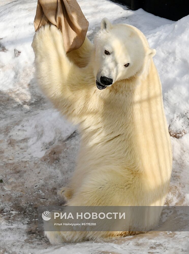 Парк флоры и фауны "Роев ручей" в Красноярске 