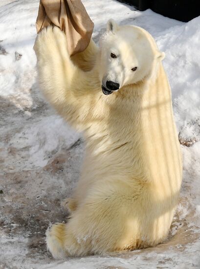 Парк флоры и фауны "Роев ручей" в Красноярске 
