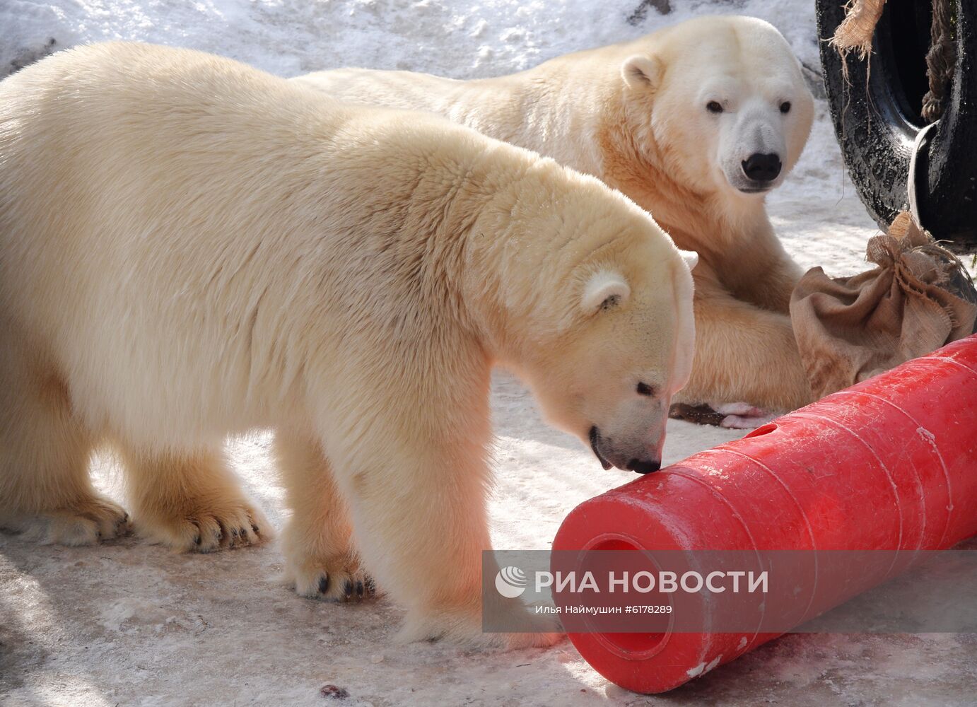 Парк флоры и фауны "Роев ручей" в Красноярске