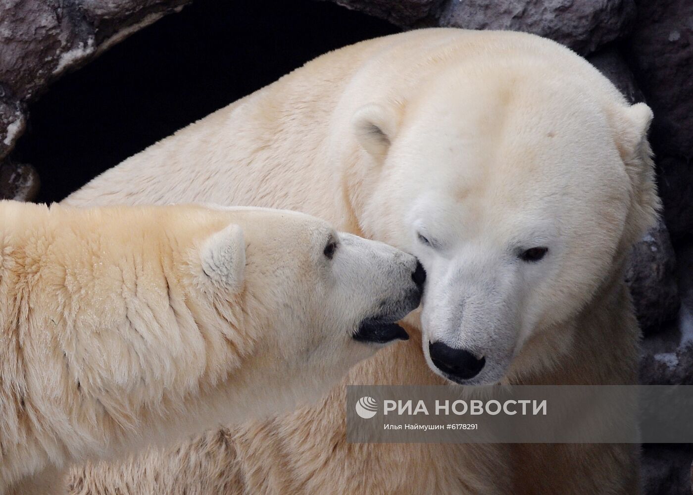 Парк флоры и фауны "Роев ручей" в Красноярске