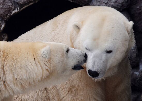 Парк флоры и фауны "Роев ручей" в Красноярске 
