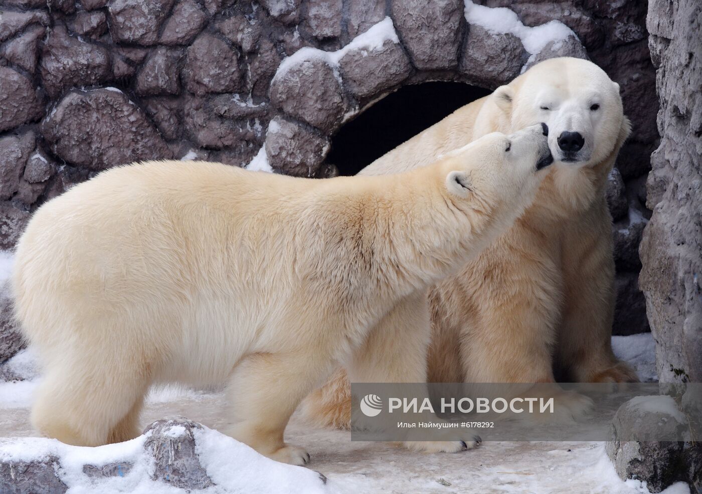 Парк флоры и фауны "Роев ручей" в Красноярске 