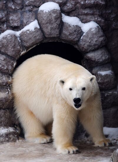 Парк флоры и фауны "Роев ручей" в Красноярске 