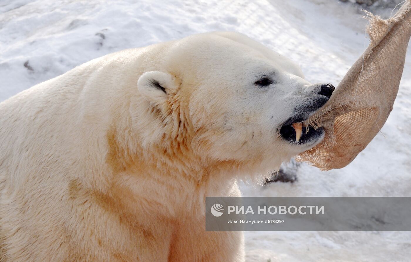 Парк флоры и фауны "Роев ручей" в Красноярске