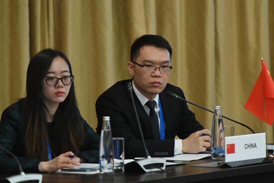 Заседание контактной группы БРИКС по экономическим и торговым вопросам