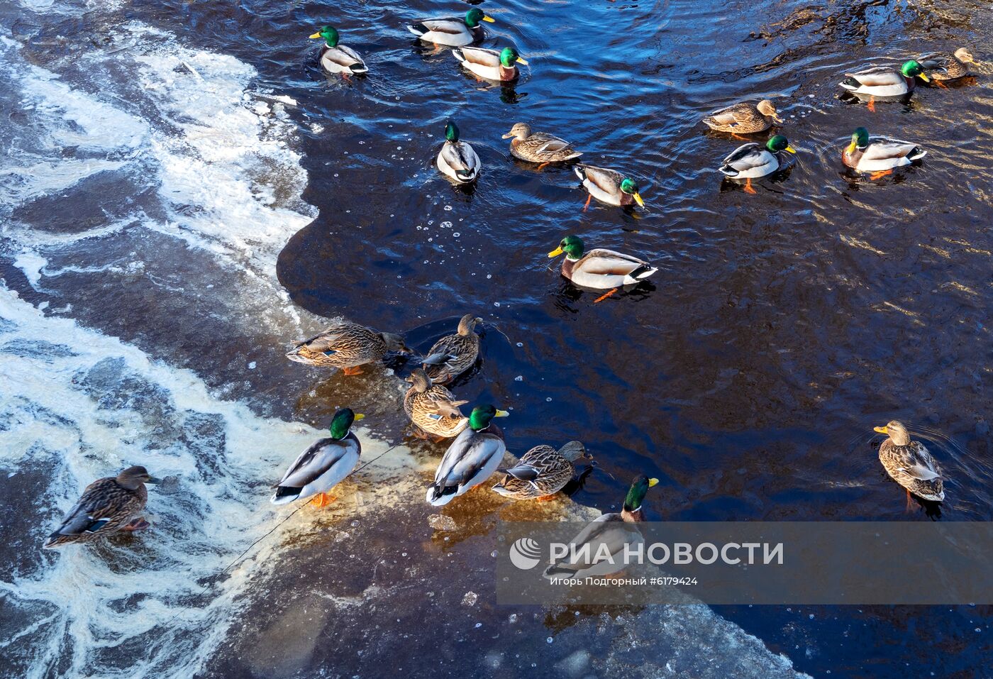 Онежское озеро в районе Петрозаводска