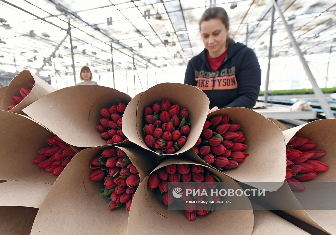 Цветы в оранжерее муниципального предприятия "УЗС" в Красноярске