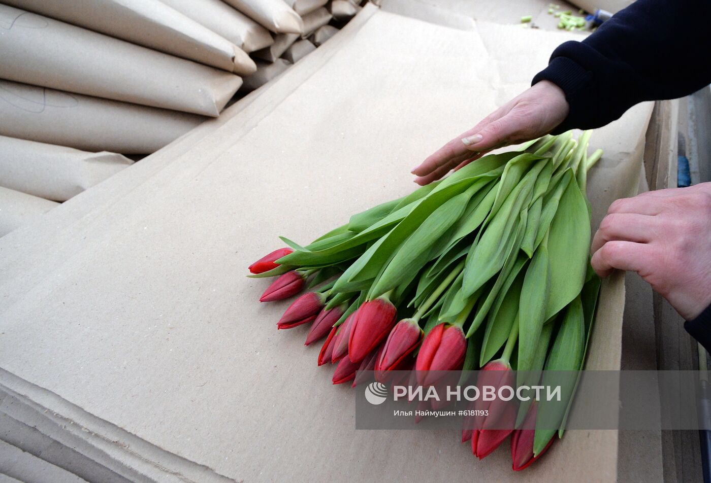 Цветы в оранжерее муниципального предприятия "УЗС" в Красноярске