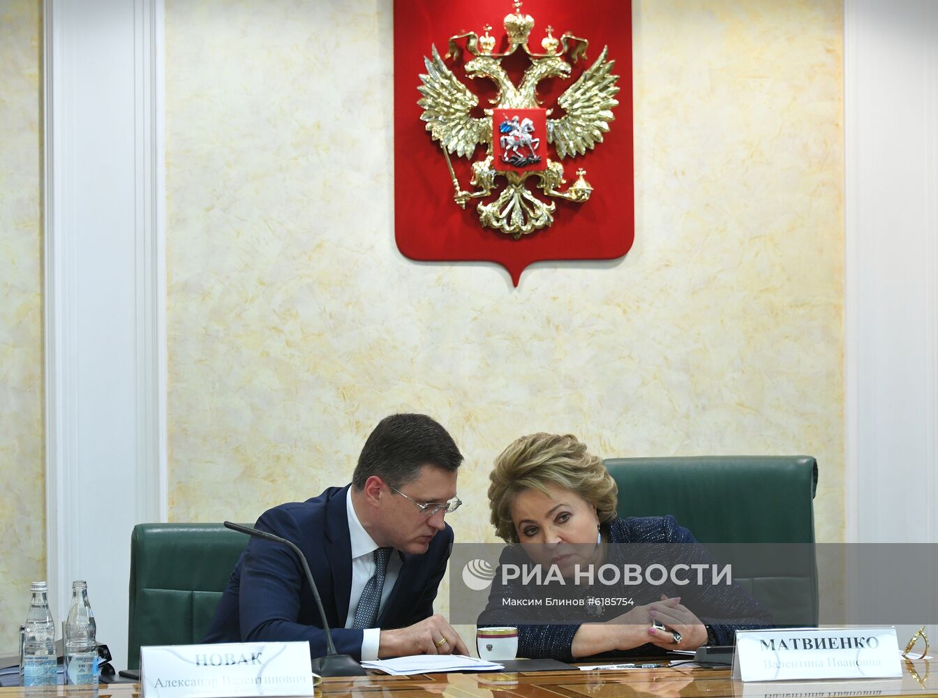 Парламентские слушания в Совете Федерации РФ 