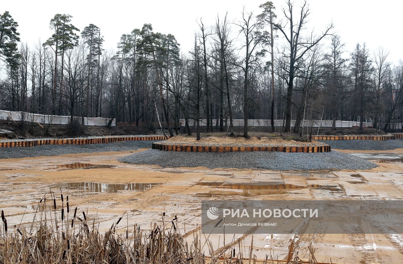 Реконструкция Большого Старомарковского пруда